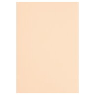 カウネット 色画用紙　四つ切　肌色 薄橙 　5枚 4212-2661