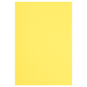 JElbg Fp@l؁@@30 4212-9431