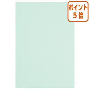 ★10月16日17時注文分よりポイント5倍★ カウネット 色画用紙 四つ切 薄水 5枚 4212-2647