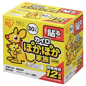 ACXI[} ۂۂƑ \^Cv 30 PKN-30HR