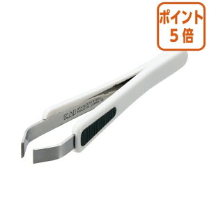 101617|Cg5{ \ FCє@ׂ~t 463202