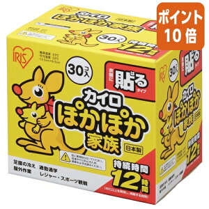 101617|Cg10{ACXI[} ۂۂƑ \^Cv 30 PKN-30HR