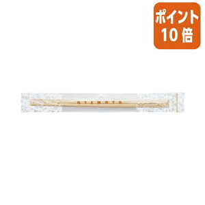 12517|Cg10{Ȃv_Nc \@20D3cm@|k}@100V PK-055