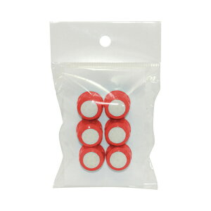 t̂̂ sՌЍH bhO[@փX|W@6 RSC6