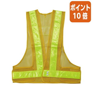 101617|Cg10{쏤 ˈSxXg@CG[^CG[ #704