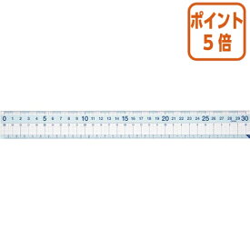 ★5月20日9時注文分よりポイント5倍★ レイメイ藤井 はし0 ゼロ メモリ直定規　30cm APJ257