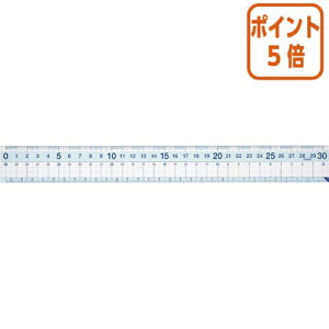 82517|Cg5{ CC ͂0 [ K@30cm APJ257
