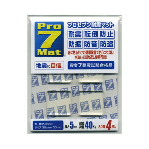 vZu ϐk}bg NA @ω׏d40kg30×30mm4 P-N30C