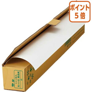 101617|Cg5{ JElbg ؂ł~Vږ͑@30m@ 4226-9717