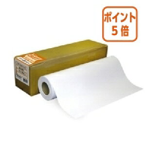 ★10月16日17時注文分よりポイント5倍★桜井 スター光沢フォト3(光沢紙) 24インチ(610mm×30m)1本 SDK3024