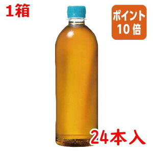 101617|Cg10{  RJER[ ₩̔@xX@650ml×24{ 53028