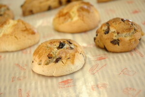 OVV[gPains 200×300 F~i1Zbg500j