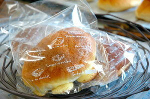 PPp MS Painsi1Zbg100j