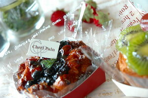 OPPV[g#30 tZ 300×300i1Zbg500j