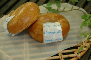 OVV[gtZ 50×254i1Zbg500j