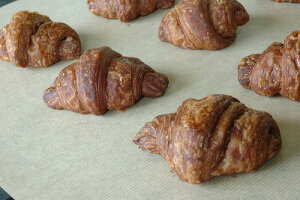 ؓNtg 380×600i1Zbg500jVTCY