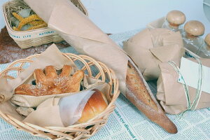 ؓNtg 207×300i1Zbg500j