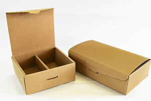 LX^CВiBOX-Mi1Zbg10j