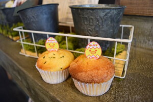 C[X^[sbN nbs[GbOi1Zbg500j