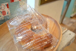 PPp MS V[i1Zbg100j