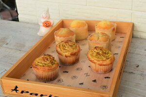 OVV[gnEB 508×381 (1Zbg500)