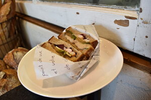 ~V[g tZ 510×382i1Zbg500j