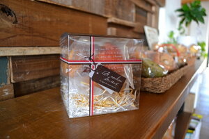 sAP[X PNN-100 t`i1Zbg10j