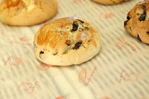 OVV[gPains 254×381 F~i1Zbg500j