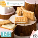 公式 シュガーバターサンドの木 14個入｜シュガーバターの木 メーカー公式 シリアル菓子 チョコレート菓子 お取り寄せ…