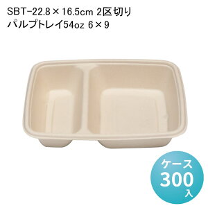 SBT-22.8×16.5cm 2؂pvgC54oz 6×9[P[X300] oKX t[hpbN ĝ `{bNX fo[ zB AEghA Cxg dqWΉ ϖ GR z Ⓚ ①