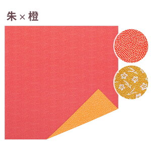 [bgΉi]DC~ ؗD l ɔ~ [50] C~ ĝ ӂ낵 C~ bsO Ɩp  d ܋l Վ do j c   E