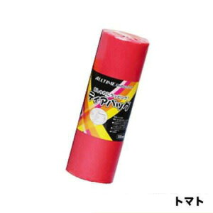 y݌ɌzВ eBAobO  (܃TCYB4) 100^Cv(1{)