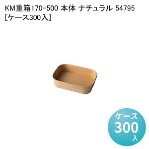 eCNAEge ĝĕٓe KMd170-500 { i` 54795[P[X300] ٓ ` ` ĝĕٓ  Ɩp sNjbN