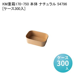 eCNAEge ĝĕٓe KMd170-750 { i` 54796[P[X300] ٓ ` ` ĝĕٓ  Ɩp sNjbN