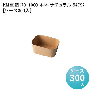 eCNAEge ĝĕٓe KMd170-1000 { i` 54797[P[X300] ٓ ` ` ĝĕٓ  Ɩp sNjbN