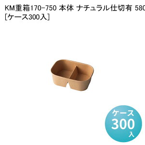 eCNAEge ĝĕٓe KMd170-750 { i`dؗL 58021[P[X300] ٓ ` ` ĝĕٓ  Ɩp sNjbN
