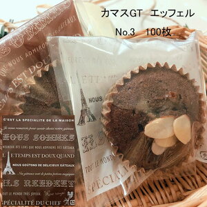 ylR|XΏۏizJ}XGT@No.3 GbtF (100)َq