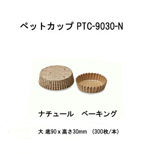 ybgJbv PTC-9030-N  90x30mm@(300/{)i`[@x[LOpJbv