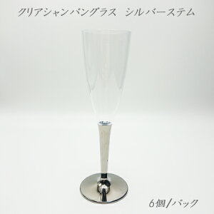 NAVpt[g@Vo[Xe (6/pbN)SBT ZCo[g ĝ vX`bNOX p[eB[ CX^f SNS Cxg Sabert