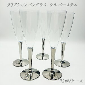 NAVpt[g Vo[Xe (72/P[X) SBT ZCo[g ĝ vX`bNOX p[eB[ CX^f SNS Cxg Sabert