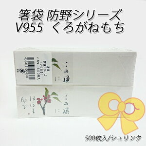  hV[Y V955 낪˂(500/VN)