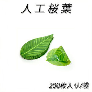 ylR|XΏۏizlHt@(200)