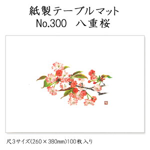 a}bg e[u}bg 3 d No.300 (100) ĝ ~ `}bg ~  Oa i