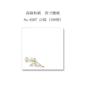 ylR|XΏۏiza@l No.6207 R (100)