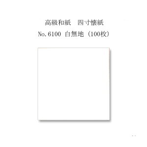 ylR|XΏۏiza@l No.6100 n (100)