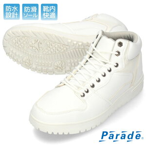 Xj[J[ Y   h V[Y h ɂ ʊw ʋ w v Xmg F j am I[V[Y ~  J RC Parade 985221 985222