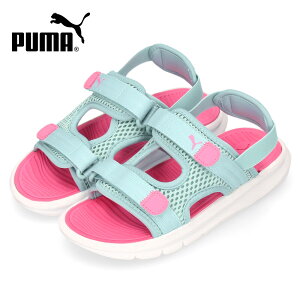 PUMA LbY v[} G{u T_ 389147 01 ubN 09 ^[RCY X|[cT_ j̎q ̎q bV ʋC y xN Xgbv  F