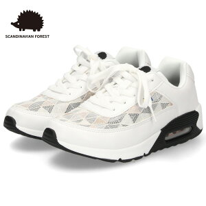 XJWirAtHXg Xj[J[ fB[X  GA V[X[ [X ubN  zCg sN   lJWA SF0105 q[Xj[J[ X^CAbv 