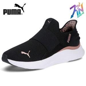 v[} Xj[J[ fB[X Xb|   jOV[Y PUMA SOFTRIDE \tgCh n[j[ I C[YC  ubN zCg 312809
