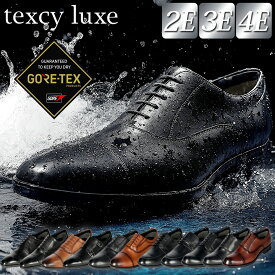 texcy luxe テクシーリュクス ビジネスシューズ メンズ GORE TEX 本革 ゴアテックス 防水 幅広 3E 4E アシックス 革靴ブラック ブラウン プレーントゥ ストレートチップ スワールモカ ダブルモンク asics